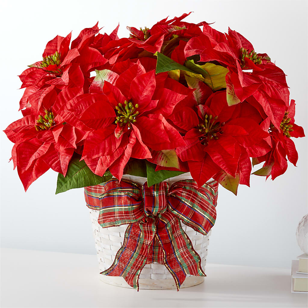 Happiest Holidays Poinsettia – The Flower Shop For All Occasions, California MO