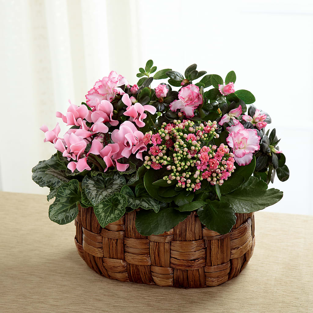 Pink Assortment – The Flower Shop For All Occasions, California MO