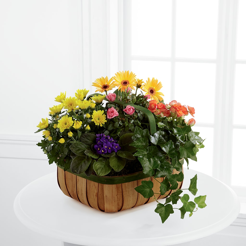 Gentle Blossoms Basket – The Flower Shop For All Occasions, California MO