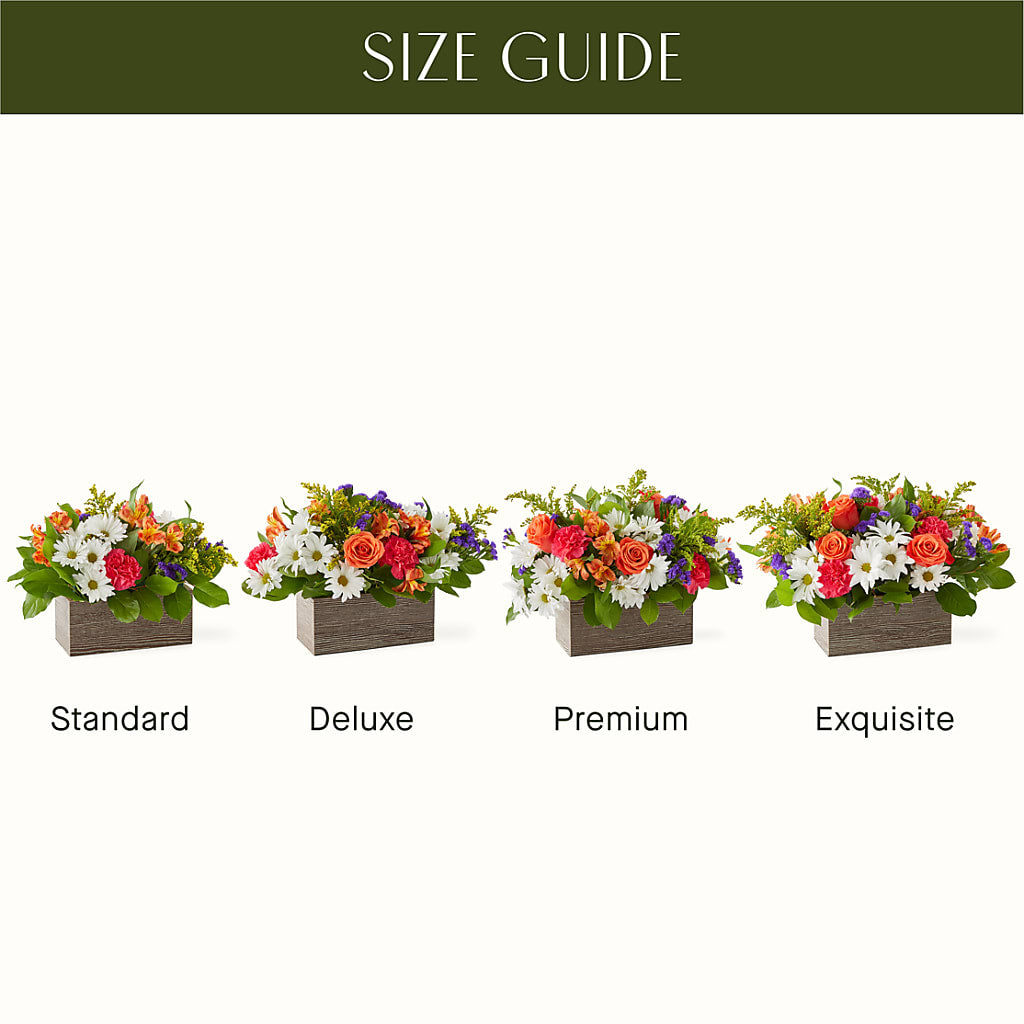 Oopsie Daisy Box Bouquet – The Flower Shop For All Occasions, California MO