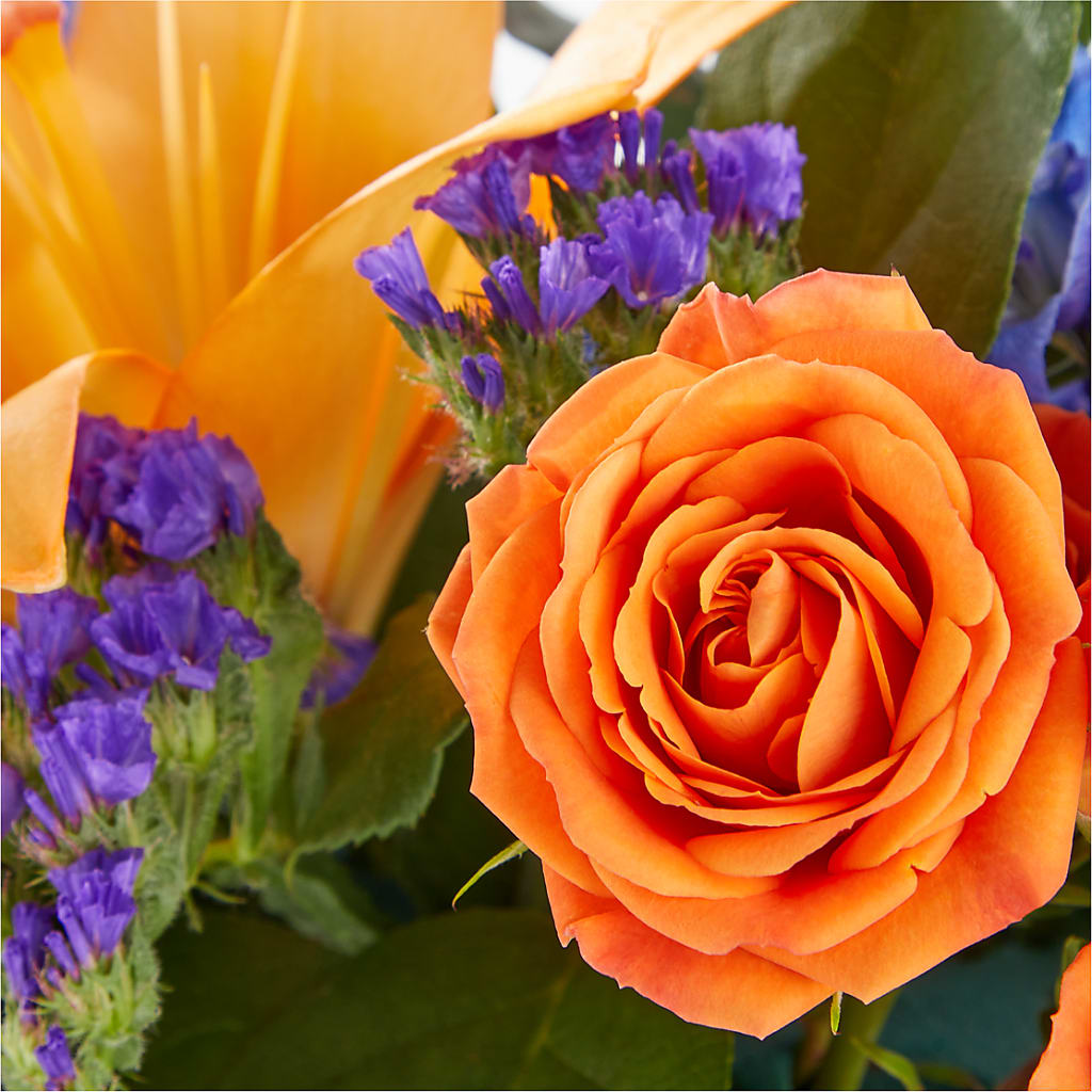 Radiant Citrus Box Bouquet – The Flower Shop For All Occasions, California MO