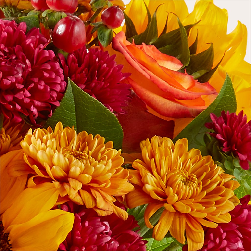 Sweater Season - A Florist Original – The Flower Shop For All Occasions, California MO