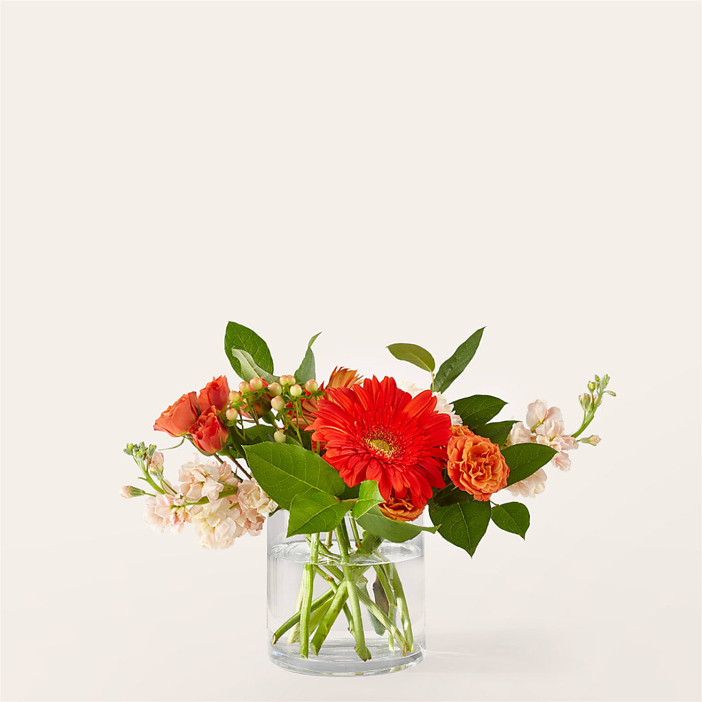 Paloma Please Bouquet – The Flower Shop For All Occasions, California MO
