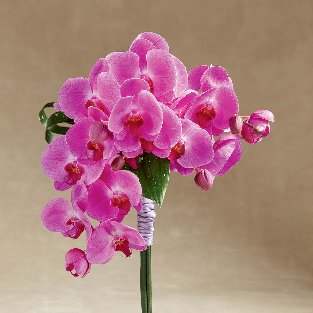 Glorious Bouquet – The Flower Shop For All Occasions, California MO