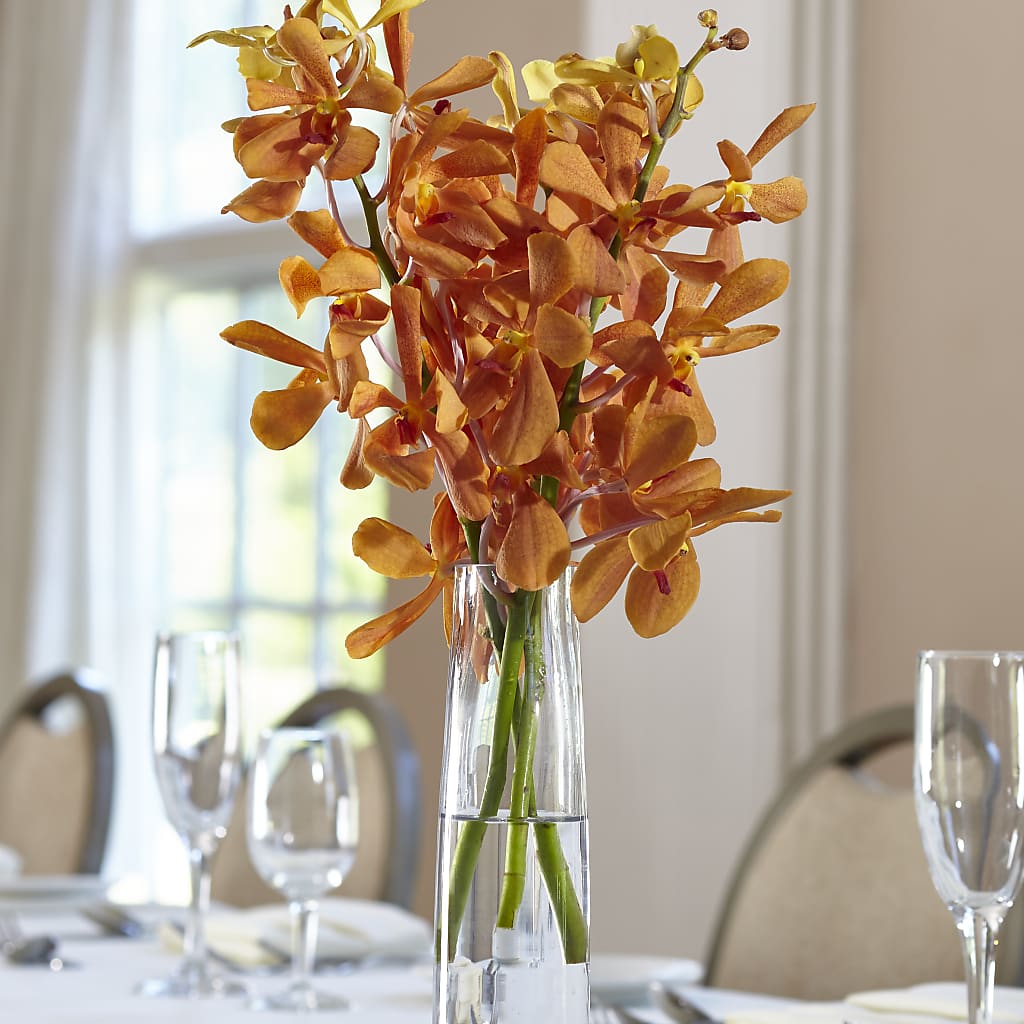 Orange Mokara Bud Vase – The Flower Shop For All Occasions, California MO
