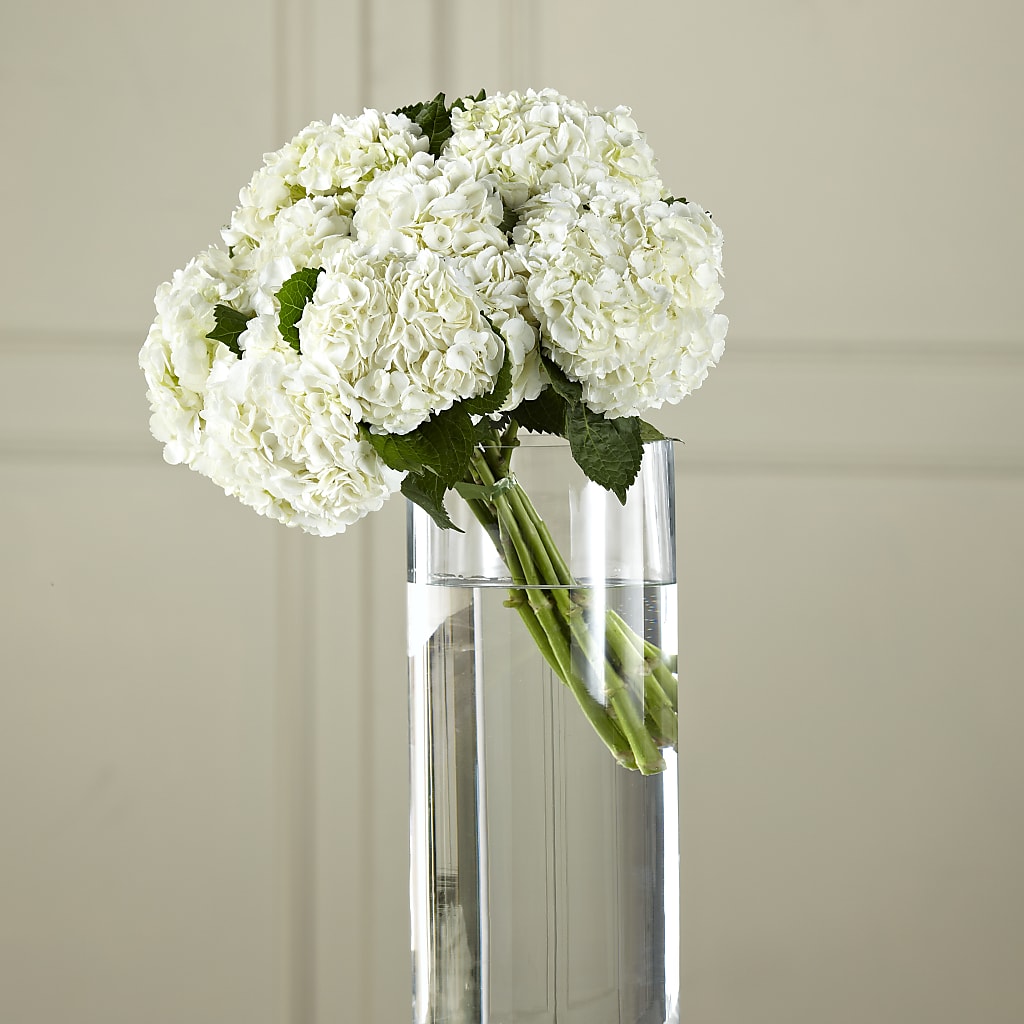 White Hydrangea Hand-Tied Bouquet – The Flower Shop For All Occasions, California MO