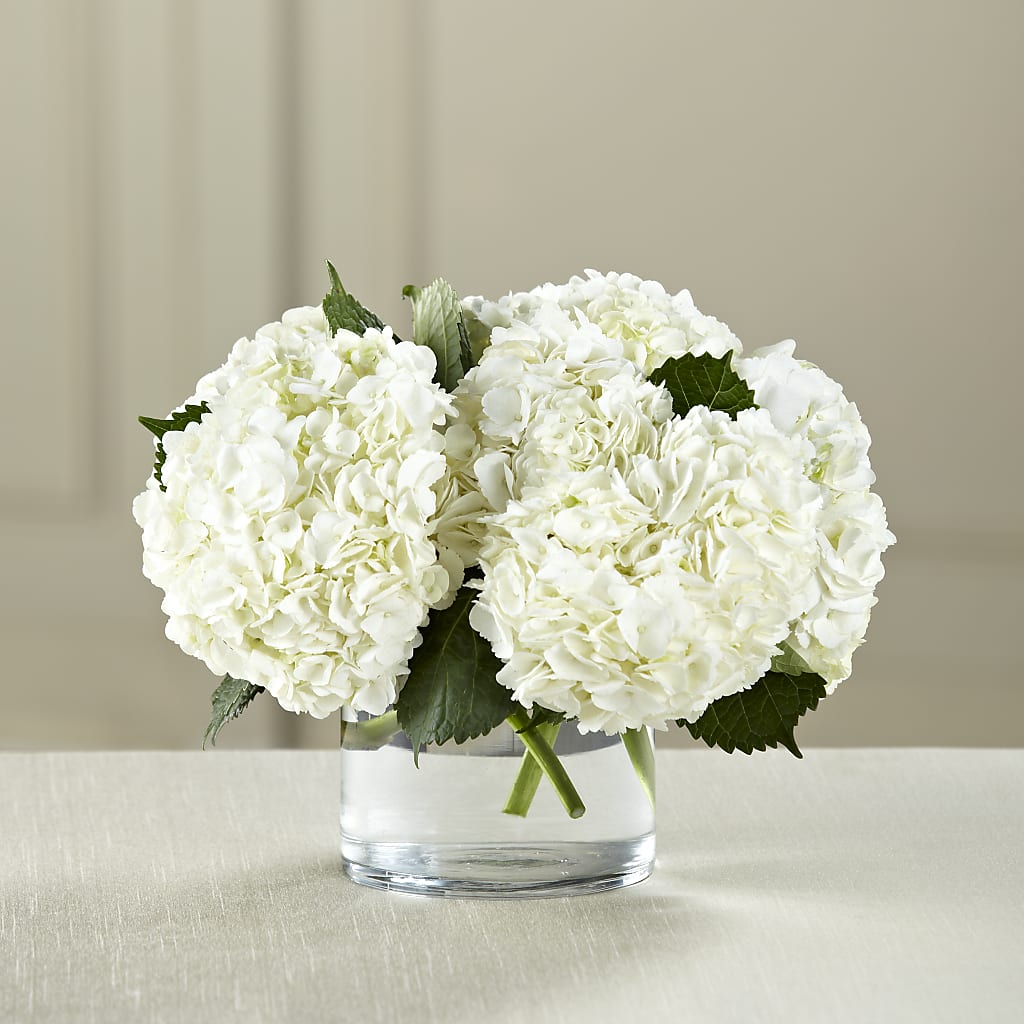 White Hydrangea Bouquet – The Flower Shop For All Occasions, California MO