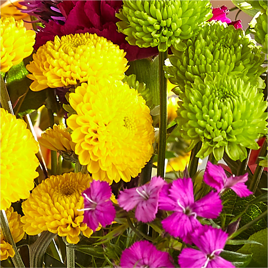 Bold & Bright – A Florist Original –  The Flower Shop For All Occasions, California MO
