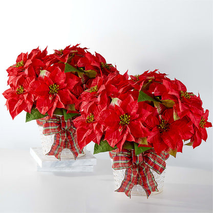 Happiest Holidays Poinsettia Bundle –  The Flower Shop For All Occasions, California MO