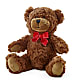 Adorable Plush Bear –  The Flower Shop For All Occasions, California MO