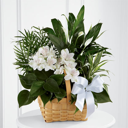 Peace & Serenity Dishgarden –  The Flower Shop For All Occasions, California MO