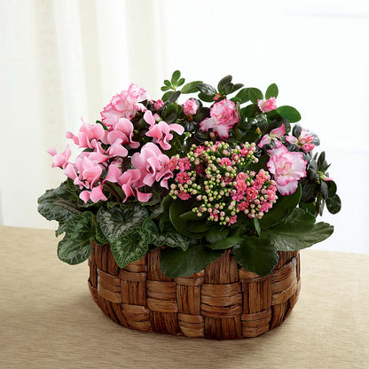 Pink Assortment –  The Flower Shop For All Occasions, California MO