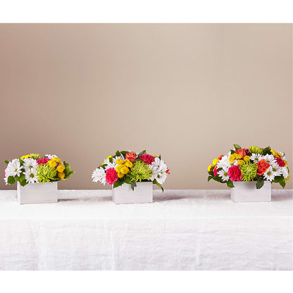 Sorbet Bouquet –  The Flower Shop For All Occasions, California MO
