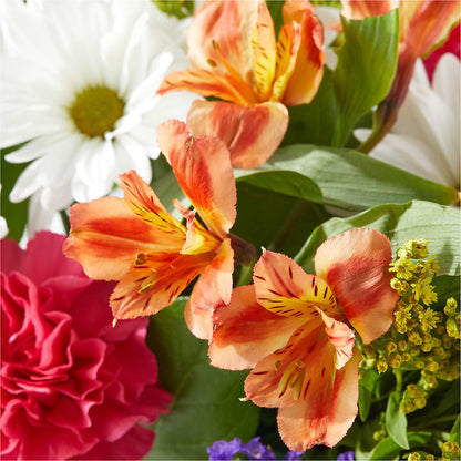 Oopsie Daisy Box Bouquet –  The Flower Shop For All Occasions, California MO