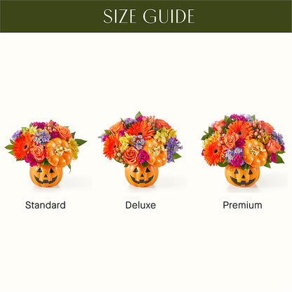 Tricks & Treats Pumpkin –  The Flower Shop For All Occasions, California MO