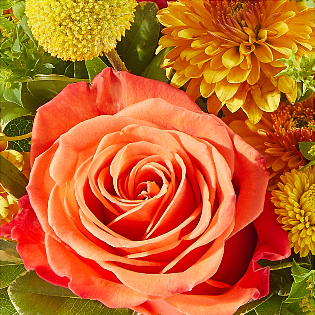 Gourdgeous Pumpkin –  The Flower Shop For All Occasions, California MO