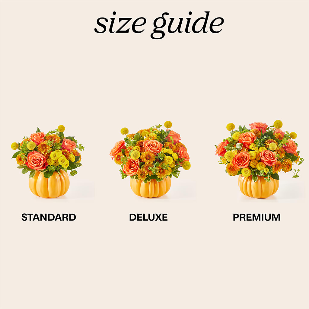 Gourdgeous Pumpkin –  The Flower Shop For All Occasions, California MO