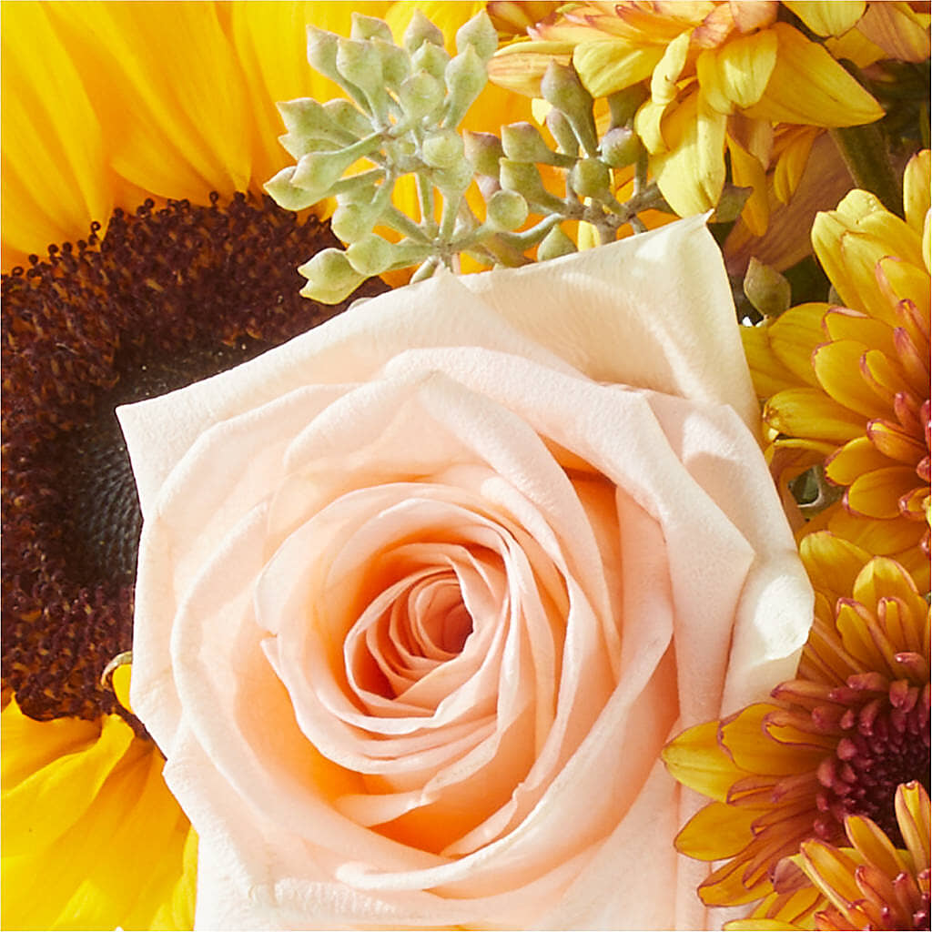 Pumpkin to Talk About Bouquet –  The Flower Shop For All Occasions, California MO