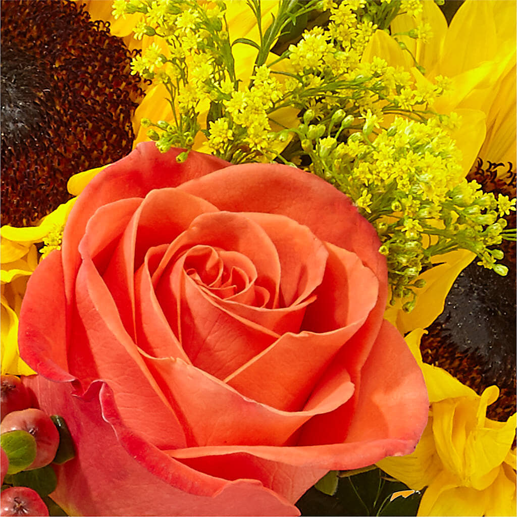 Pick of the Patch Pumpkin Bouquet –  The Flower Shop For All Occasions, California MO