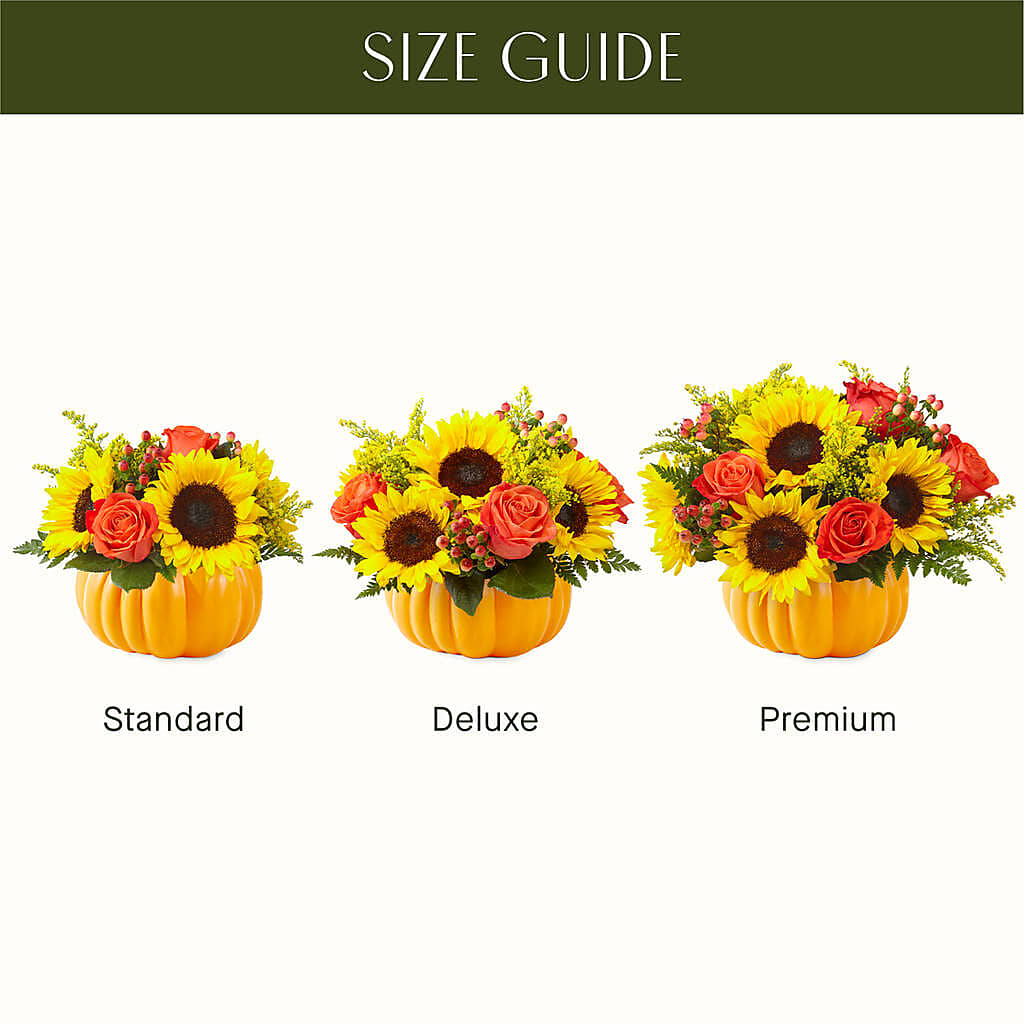 Pick of the Patch Pumpkin Bouquet –  The Flower Shop For All Occasions, California MO