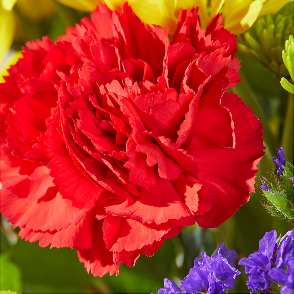 Brighter Days Bouquet –  The Flower Shop For All Occasions, California MO