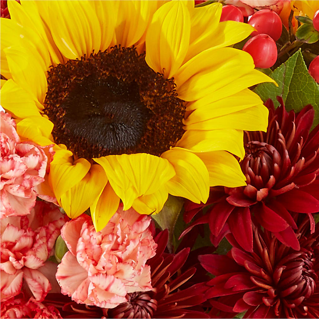 Fresh Cider Bouquet –  The Flower Shop For All Occasions, California MO
