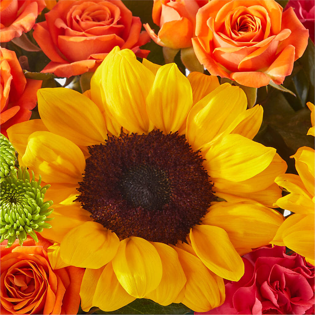 Sun-drenched Blooms Box Bouquet –  The Flower Shop For All Occasions, California MO