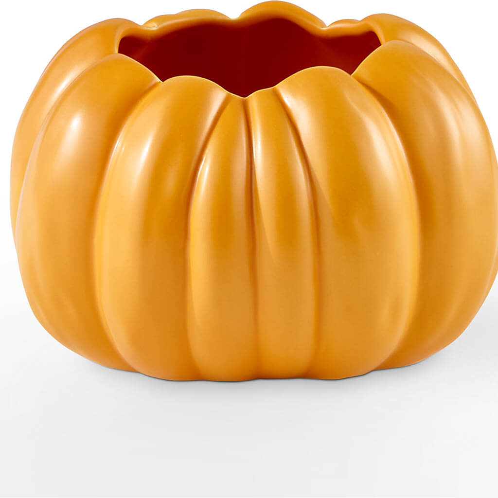 Pick of the Patch Pumpkin Bouquet –  The Flower Shop For All Occasions, California MO