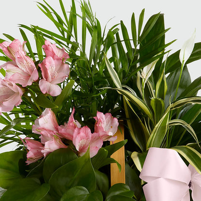Living Spirit Dishgarden –  The Flower Shop For All Occasions, California MO