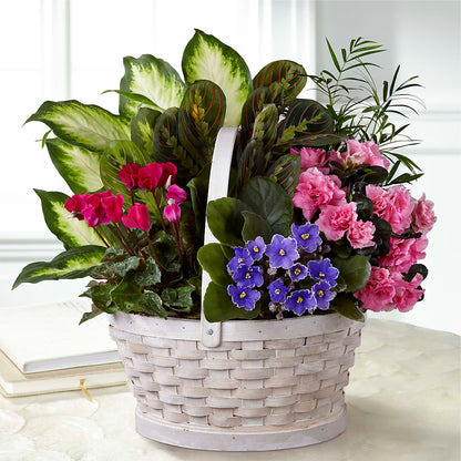 Peaceful Garden Planter –  The Flower Shop For All Occasions, California MO
