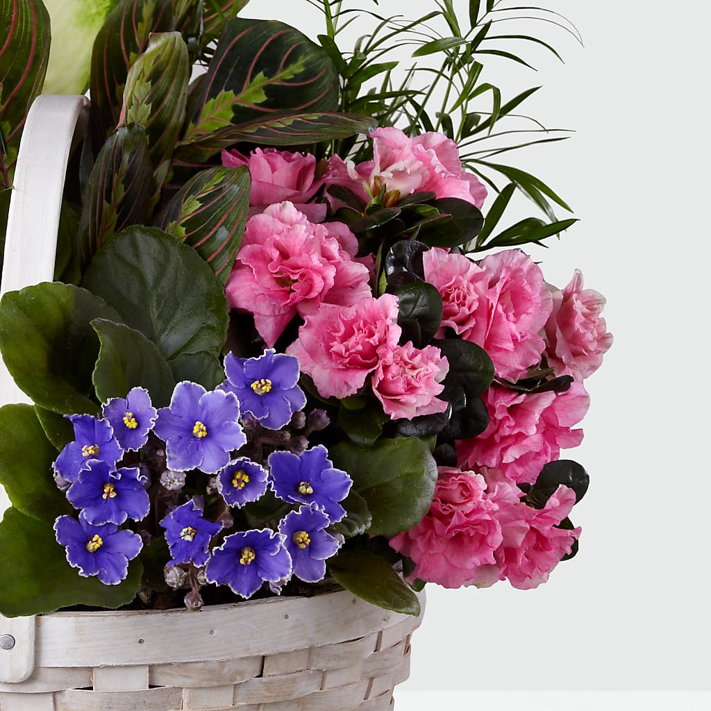 Peaceful Garden Planter –  The Flower Shop For All Occasions, California MO