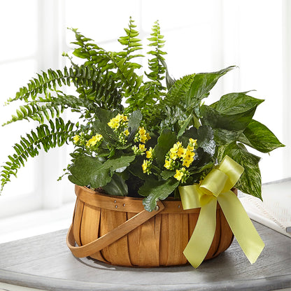 Always Dear Dishgarden –  The Flower Shop For All Occasions, California MO
