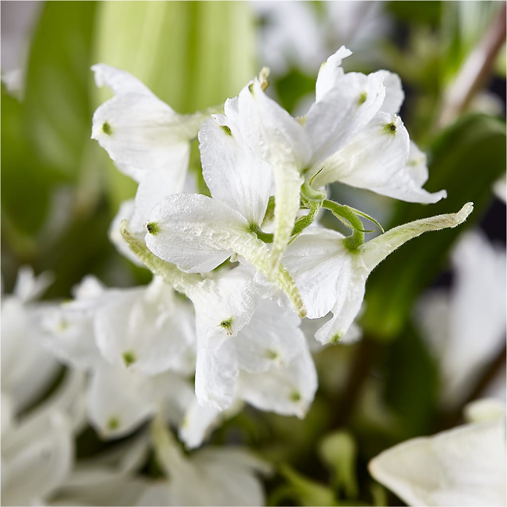 Classic Ivory – A Florist Original –  The Flower Shop For All Occasions, California MO