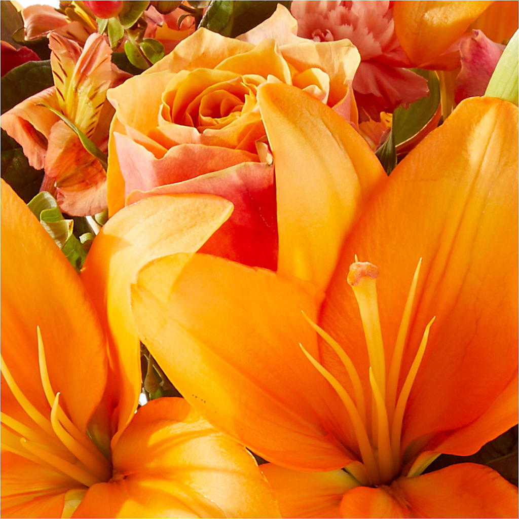 Afternoon Light Bouquet –  The Flower Shop For All Occasions, California MO