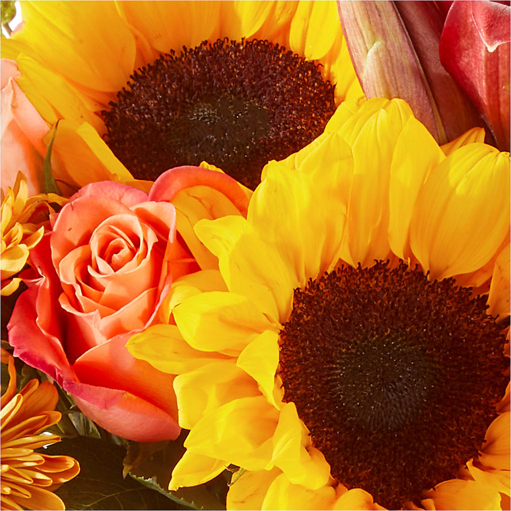 Acorn Lane Bouquet –  The Flower Shop For All Occasions, California MO