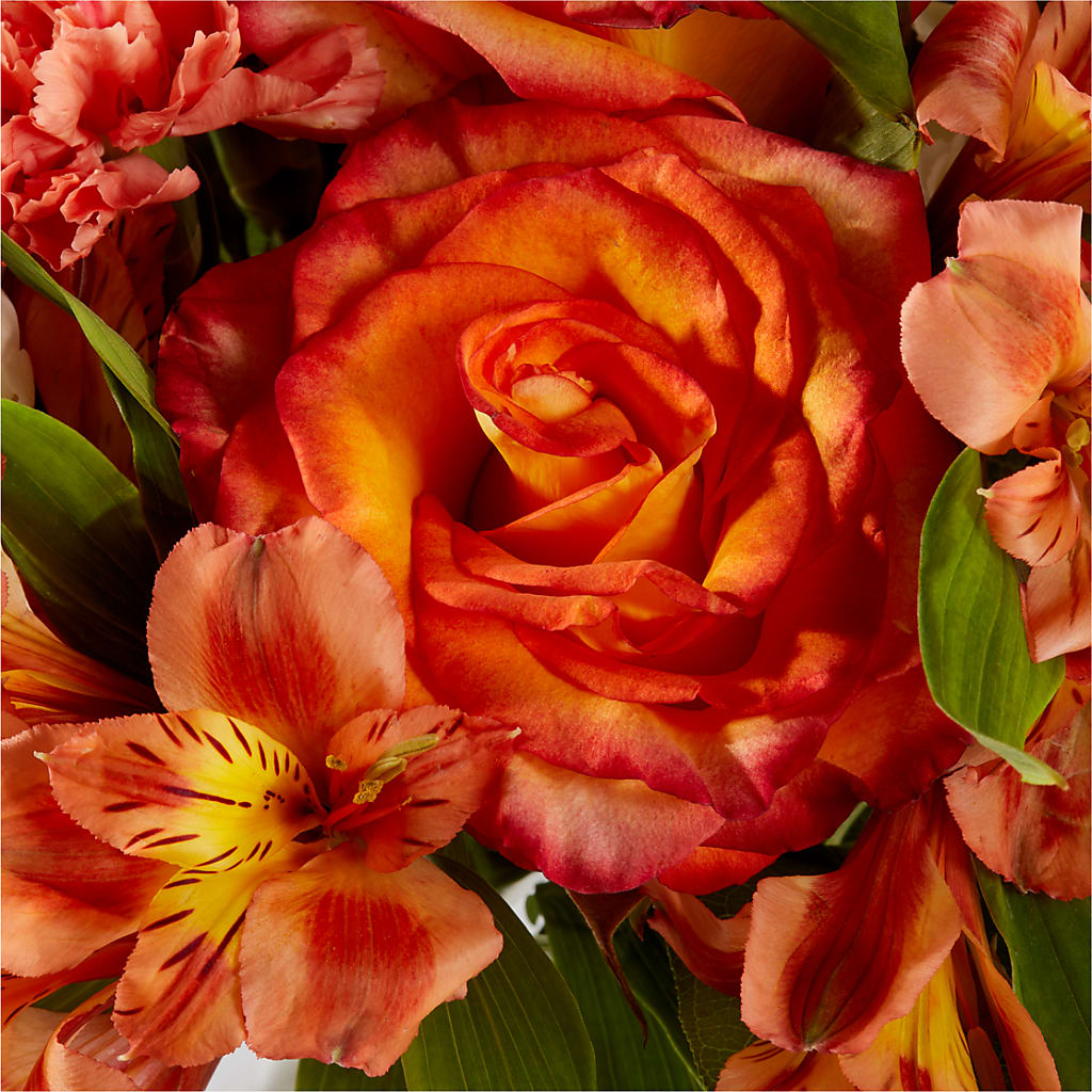 Apricot Glow Bouquet –  The Flower Shop For All Occasions, California MO