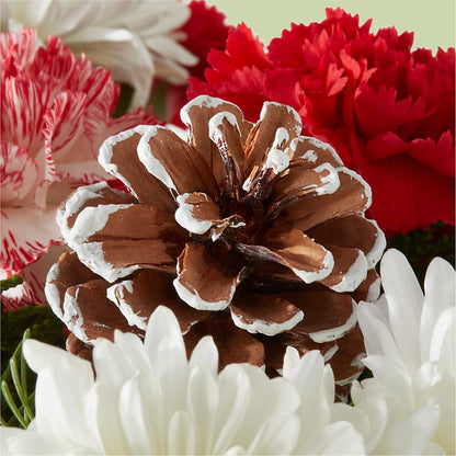Candy Cane Lane Bouquet –  The Flower Shop For All Occasions, California MO
