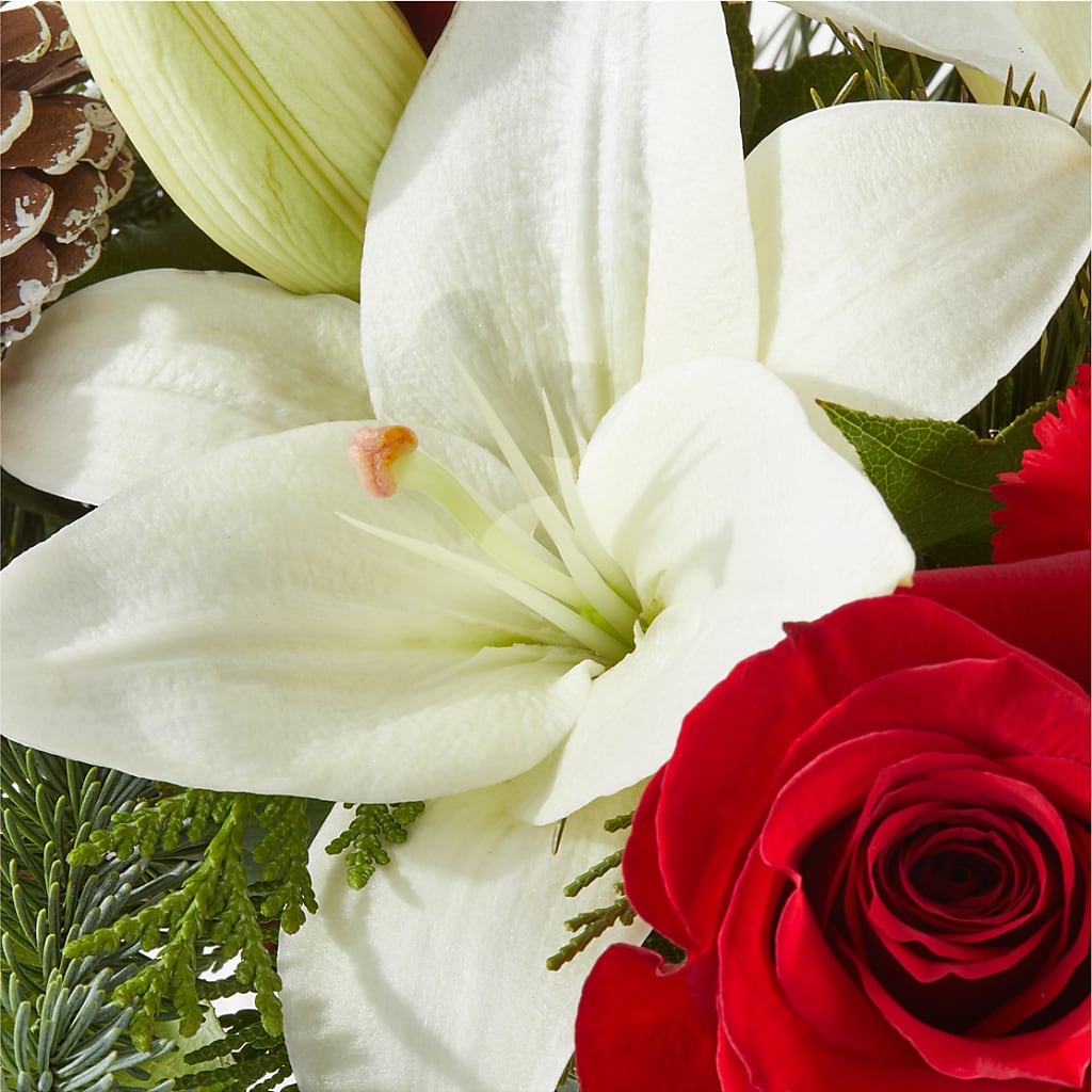 Oh So Jolly Bouquet –  The Flower Shop For All Occasions, California MO