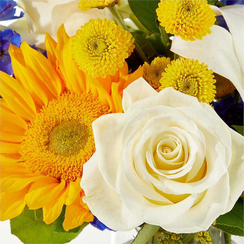 Stargazing Bouquet –  The Flower Shop For All Occasions, California MO