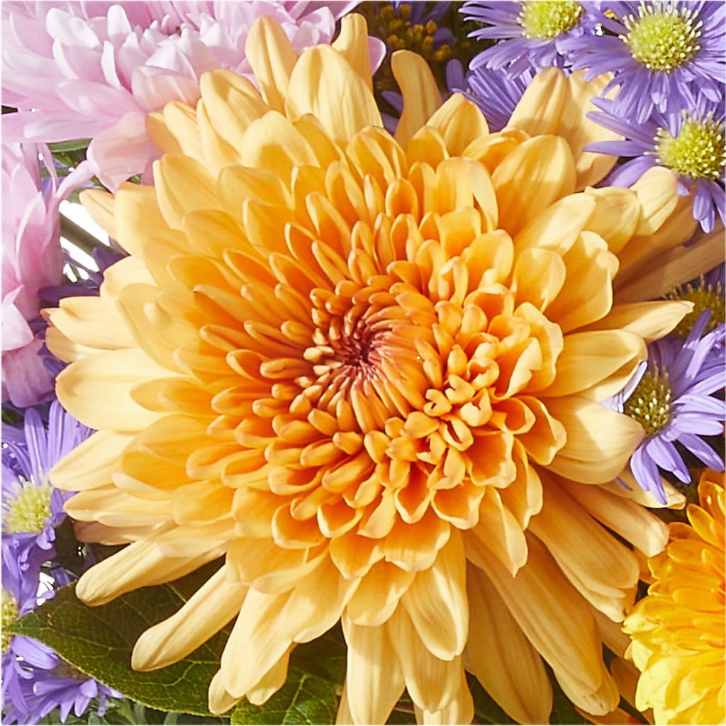 Countryside Bouquet –  The Flower Shop For All Occasions, California MO