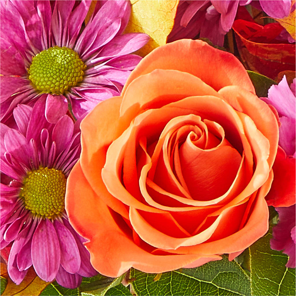 Mum's the Word Bouquet –  The Flower Shop For All Occasions, California MO