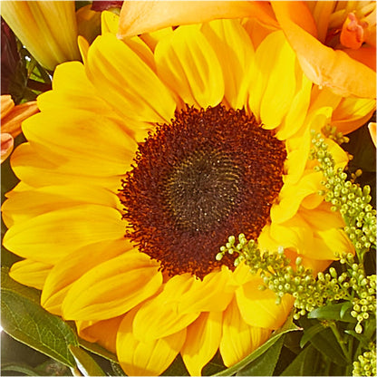 Seasons Change Bouquet –  The Flower Shop For All Occasions, California MO