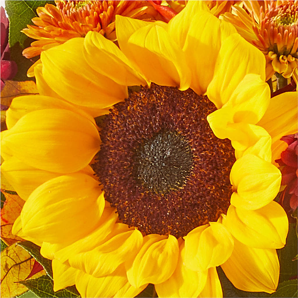 Sunny Side Bouquet –  The Flower Shop For All Occasions, California MO