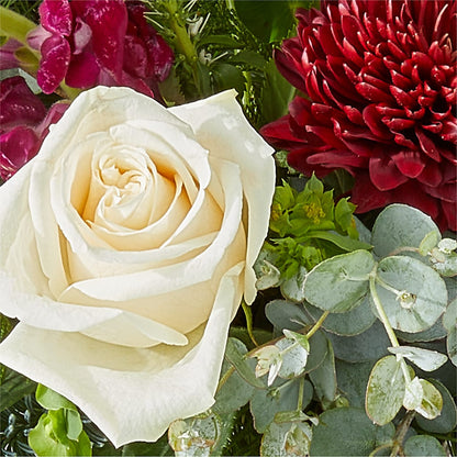 Cranberry Fizz Bouquet –  The Flower Shop For All Occasions, California MO