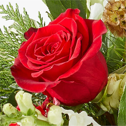 Deck the Halls Bouquet –  The Flower Shop For All Occasions, California MO