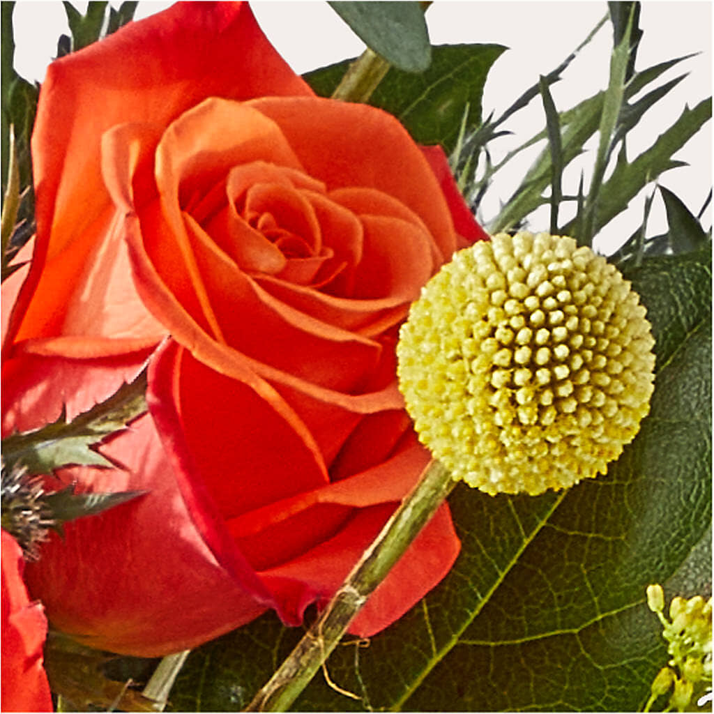 Disco Bouquet –  The Flower Shop For All Occasions, California MO