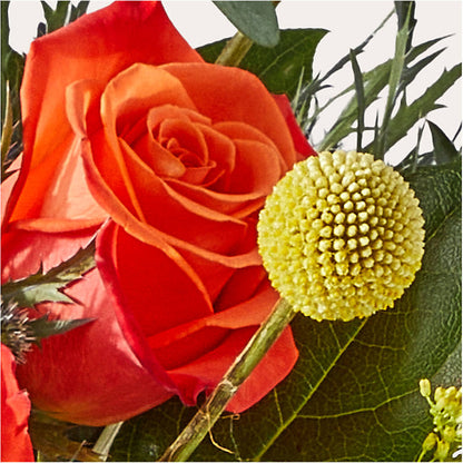 Disco Bouquet –  The Flower Shop For All Occasions, California MO