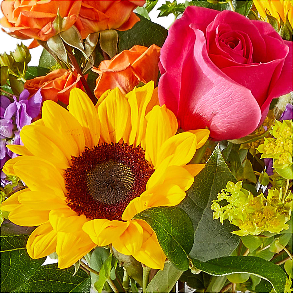 Vibrant Greetings Bouquet –  The Flower Shop For All Occasions, California MO