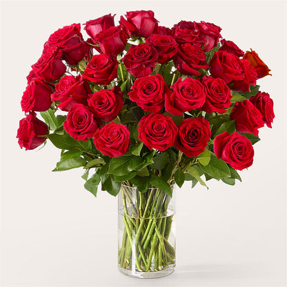 The One Red Rose Bouquet –  The Flower Shop For All Occasions, California MO