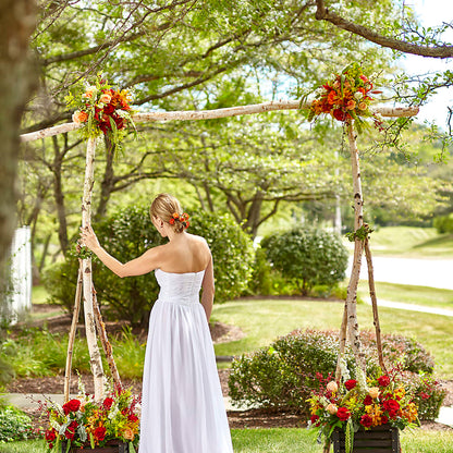 Arbor of Love Archway –  The Flower Shop For All Occasions, California MO